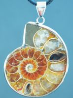 Halskette D-441 – Ammonit Fossil
