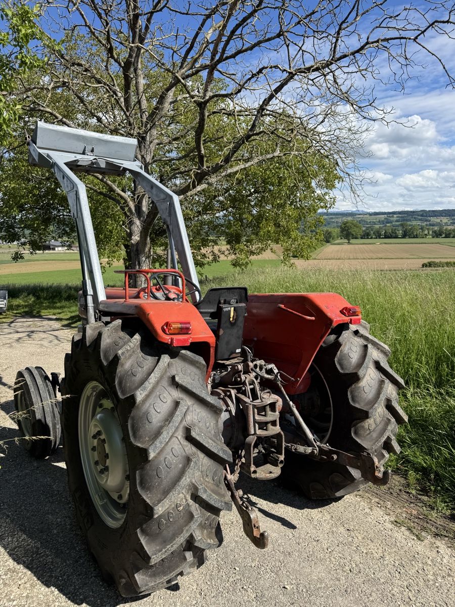 Massey Ferguson Traktoren: Tracteur MF 165 avec Frontal  – Gebraucht aus St-Aubin FR von paj_5vn2 5