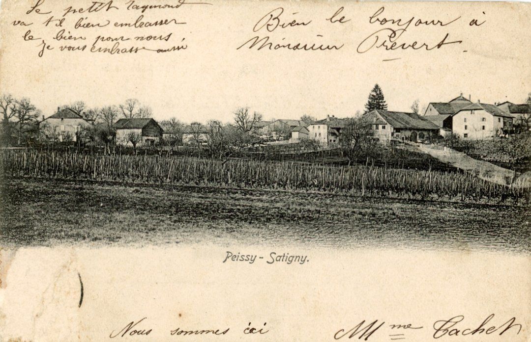 Cartoline postali: Peissy - Satigny  GE         en  1 9 0 4 – Usato da Brig venduto da Valcards54