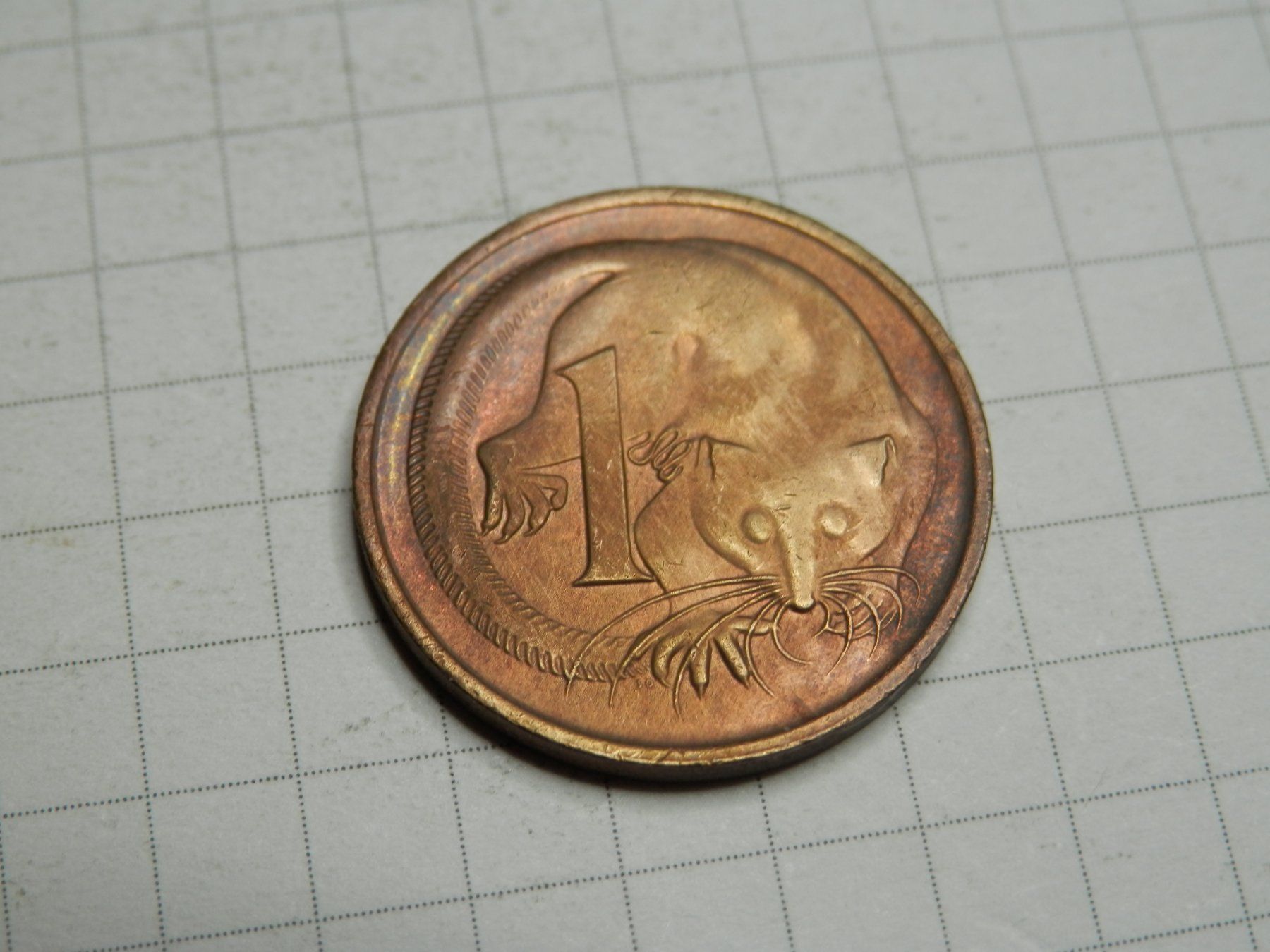 Tutti le monete: Australien 1 Cent, 1981 – Usato da Weiach venduto da weiach81 1