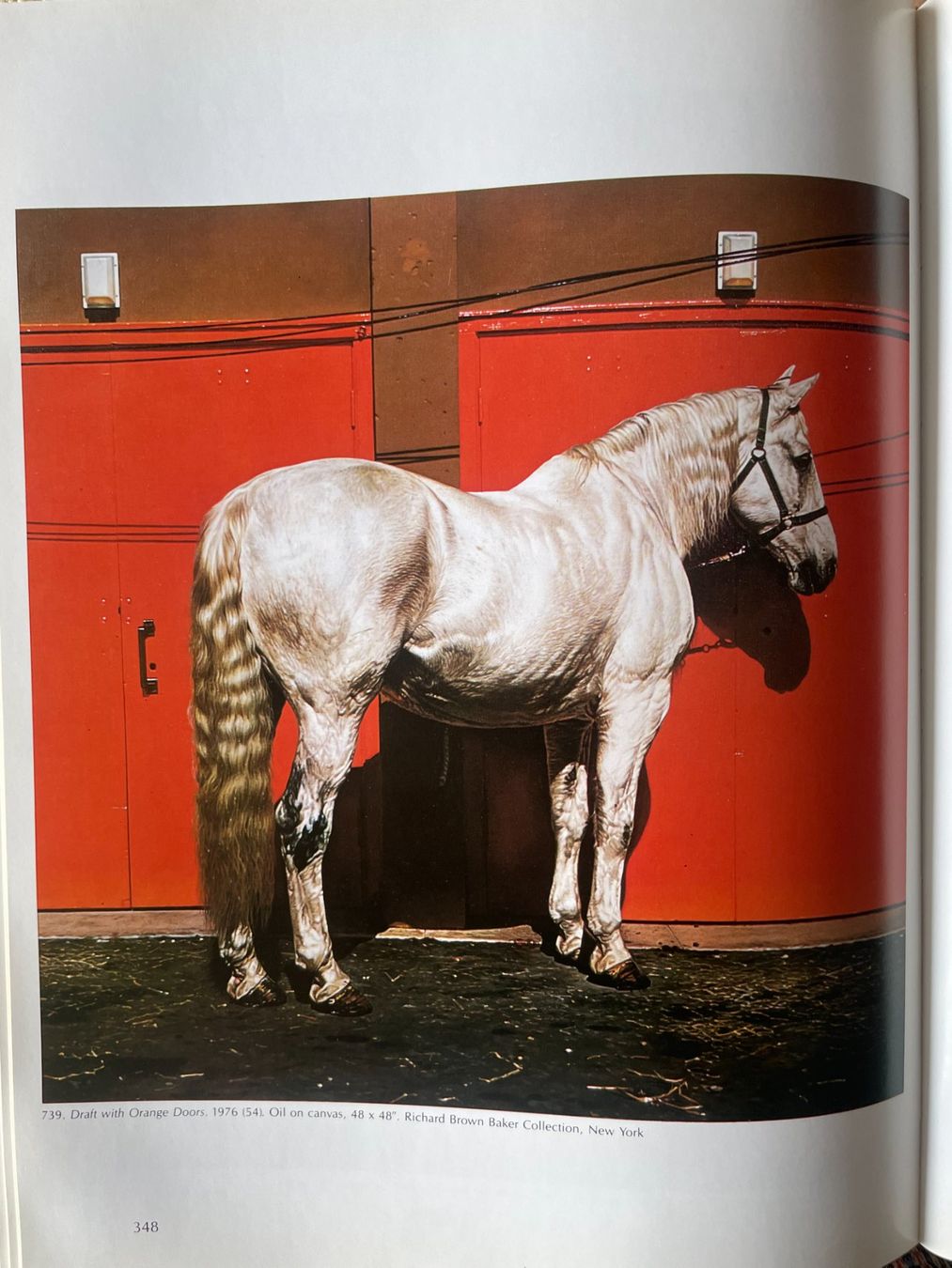 Libri: Photorealism de Louis K. Meisel – Usato da Lausanne venduto da jea_6mjw 4