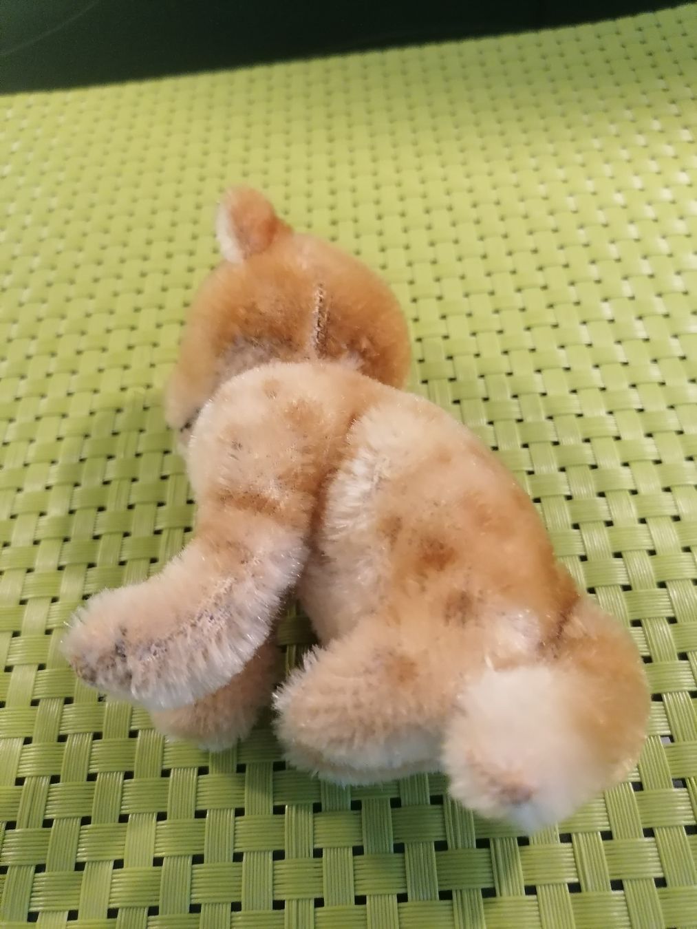 Steiff Jouets: Steiff Junglöwe 10cm – D'occasion à Biberist par troedlerheinz 3