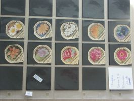 Serie    Ungarn    2 C    Blumen            Steg
