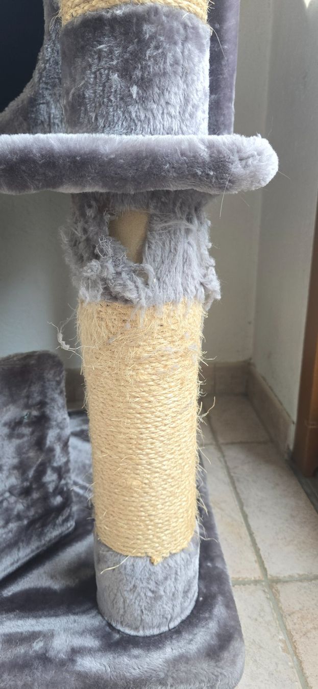 Katzenbaum - Kratzbaum: Katzenbaum – Gebraucht aus Oeschgen von schnemo77 1
