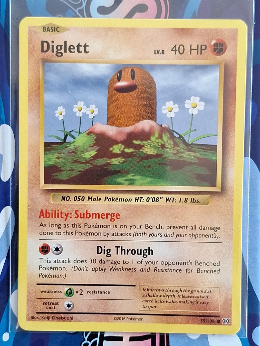 Pokémon Carte collezionabili: Diglett Digda - XY Evolutions Pokemon - #7.7 – Usato da Altstätten SG venduto da GGsGameshop