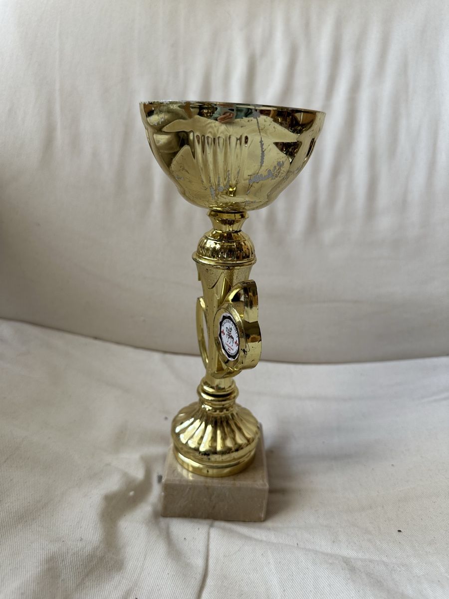 Altre raccolte & rarità: Goldener Pokal – Usato da Basel venduto da ari_f26x 2