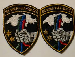 Armée Duo Badges EM COND de l'armée 1x Goldrand 1x normal
