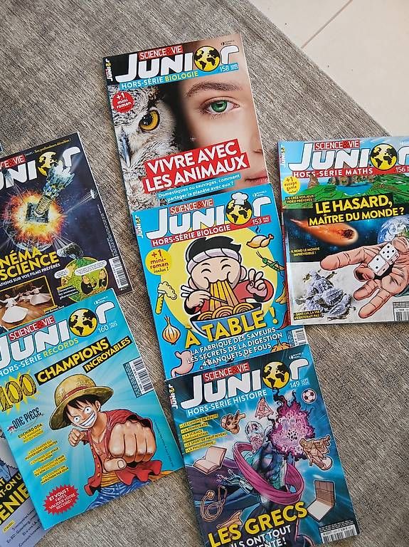 Riviste & Magazine: Sciences et vie Junior  – Usato da Préverenges venduto da mel_k6bd 1