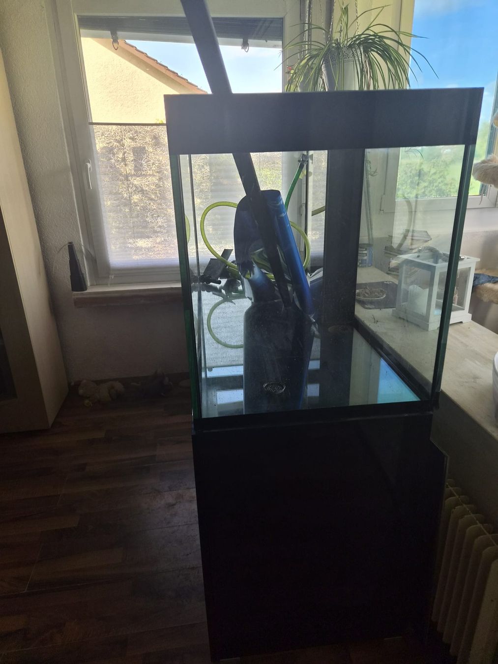 Eheim Aquarium: 450 liter Aquarium mit Aussenfilter – D'occasion à Wikon par casares 2