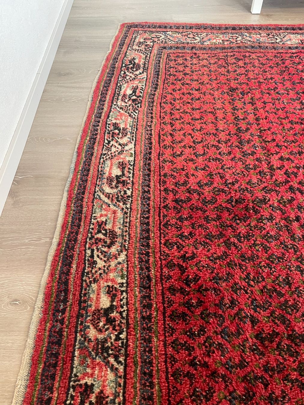Tappeti: Teppich 246 x 355cm – Usato da Schmerikon venduto da die_8b8m 7