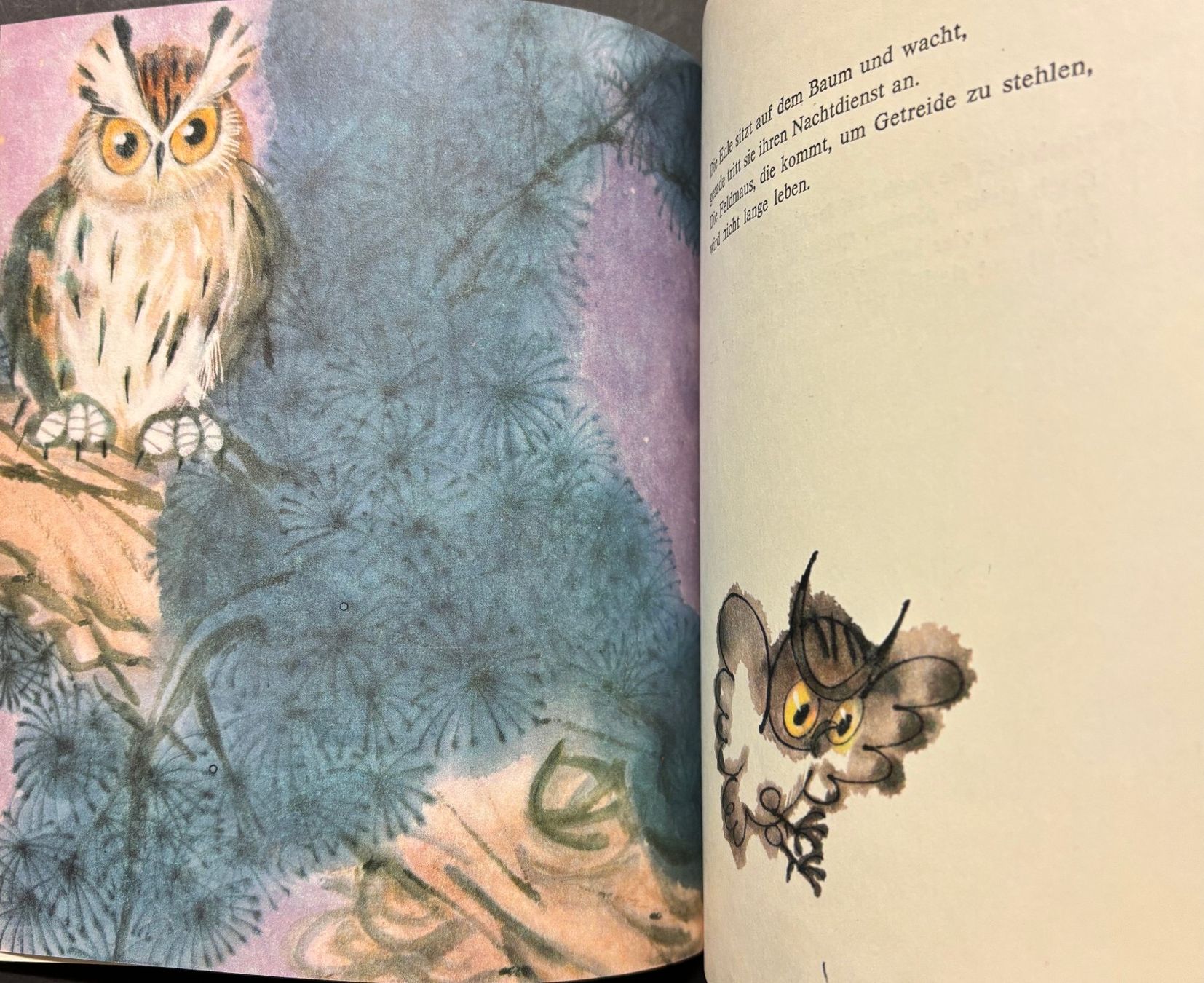 Libri: Im Zoo – Nuovo (secondo la descrizione) da Sarnen venduto da Livres 4