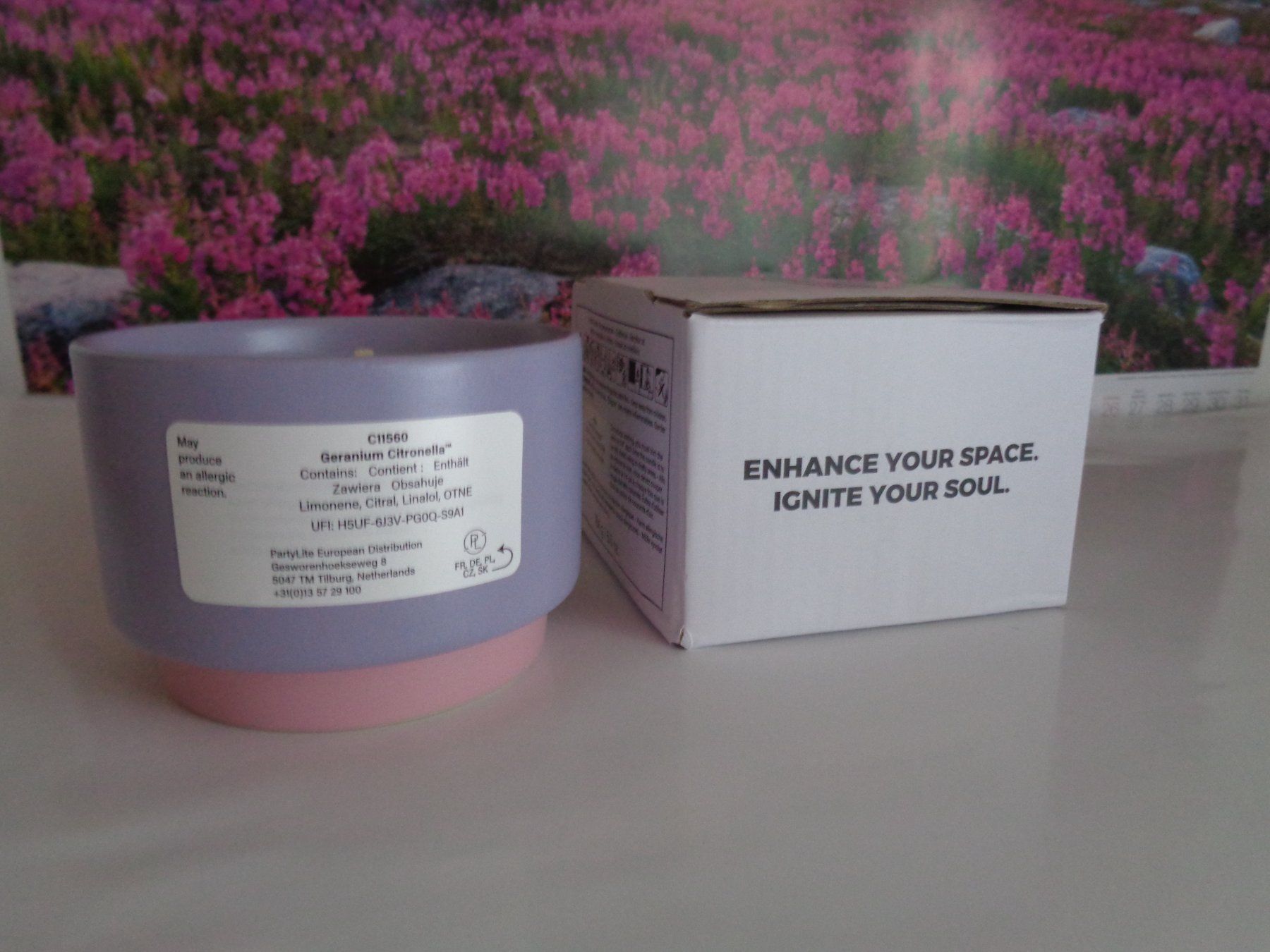 Partylite Candele: Duftkerze Geranium Citronella oder Pfirsich Honig Citronella – Nuovo e nell'imballaggio originale da Frauenkappelen venduto da Sunneschy00