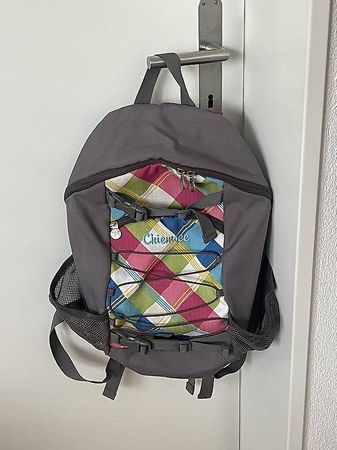 Chiemsee Rucksack Medium in top Zustand