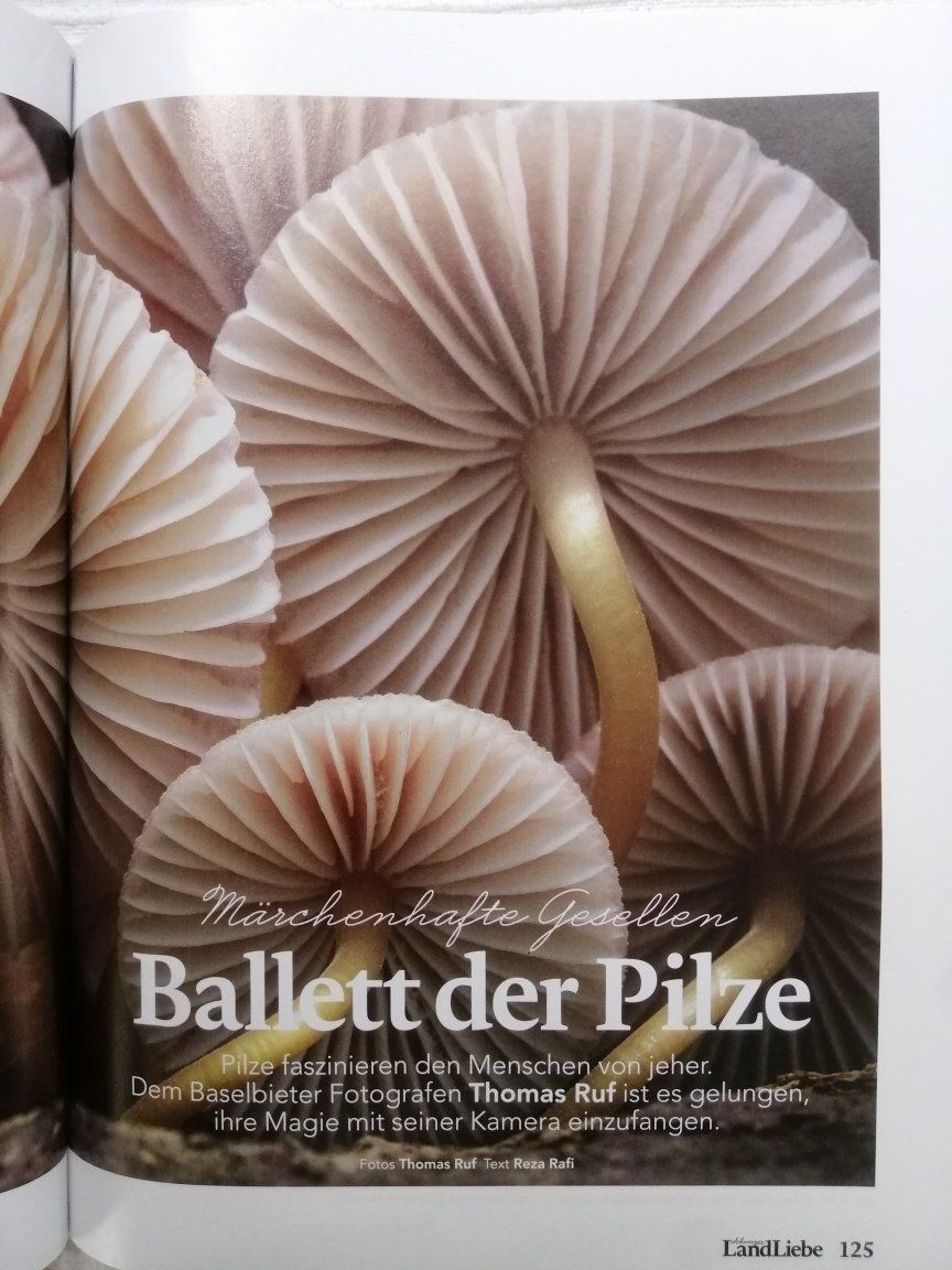 Revues & Magazines: Landliebe Herbst 2020 – D'occasion à Langenthal par Handstrick 3