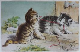 AK von 1907: Spielende Katzen
