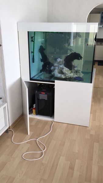 Acquari: 100x100x80 Hochglanz – Nuovo (secondo la descrizione) da Berikon venduto da fischundart 2