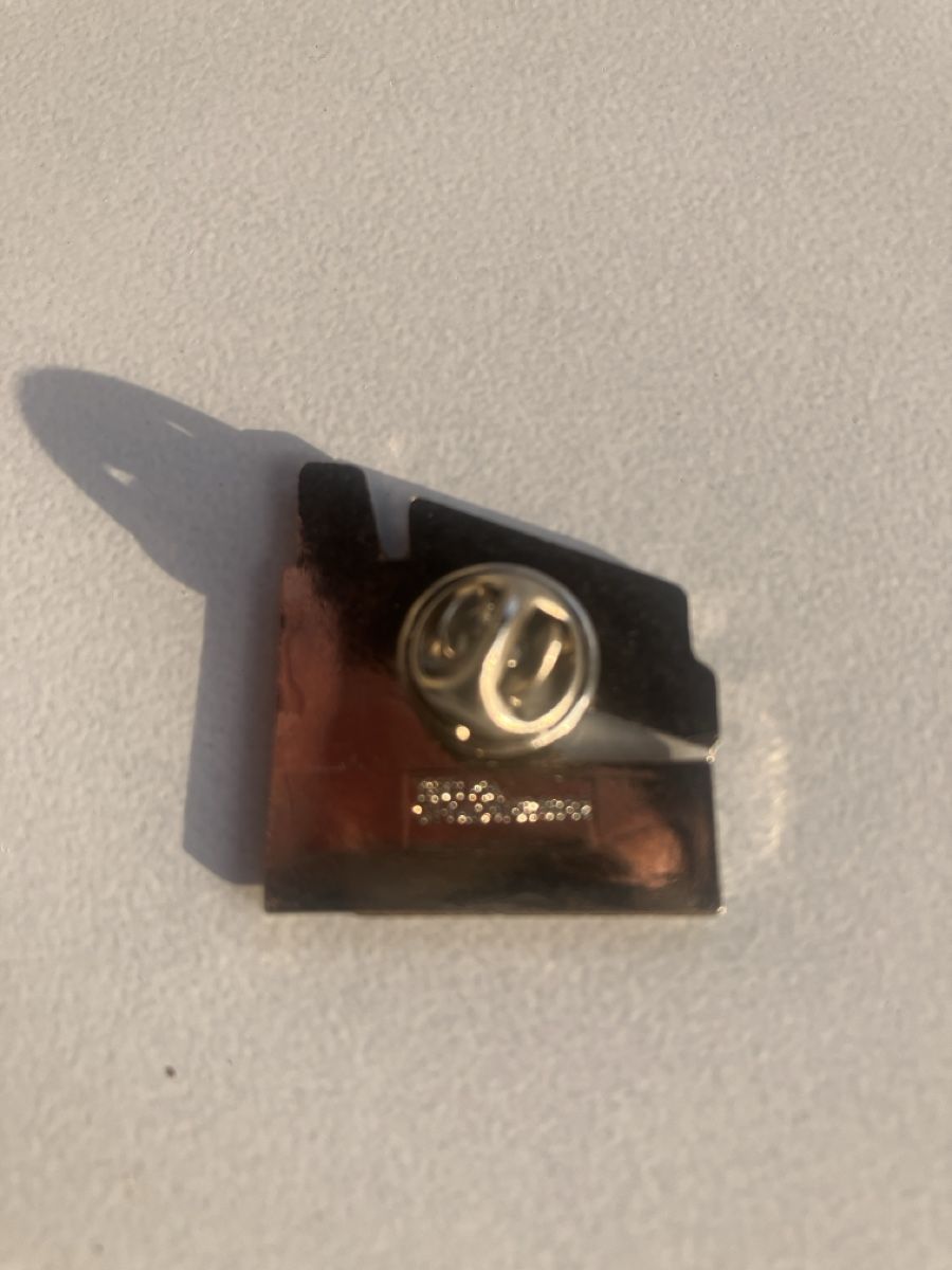Placchette & Badge: Pin Rhyfall Mändli – Usato da Eschlikon TG venduto da Urs.knopf 1