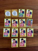 Panini WM 2026 KOR