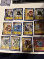 Digimon Sammelkarten Set 12 Stück guter Zustand