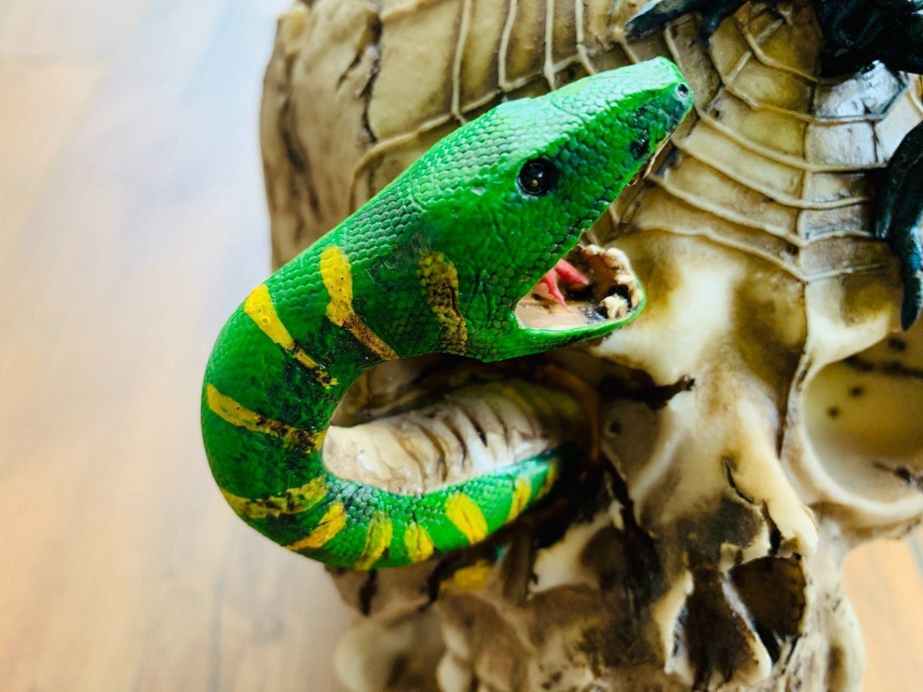 Sculture & Statue: Totenschädel Schädel SKULL Spinne 22cm NEU – Nuovo e nell'imballaggio originale da Bergdietikon venduto da shopAgent 8
