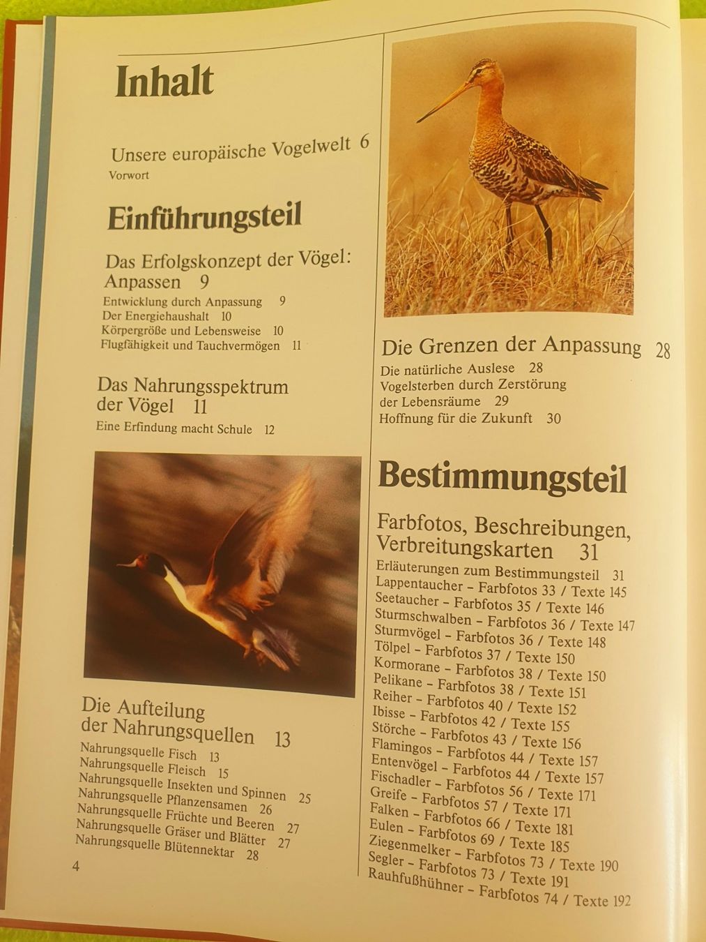 Bücher: Fotoatlas der Vögel – Gebraucht aus Steinhausen von joseph-sen 2