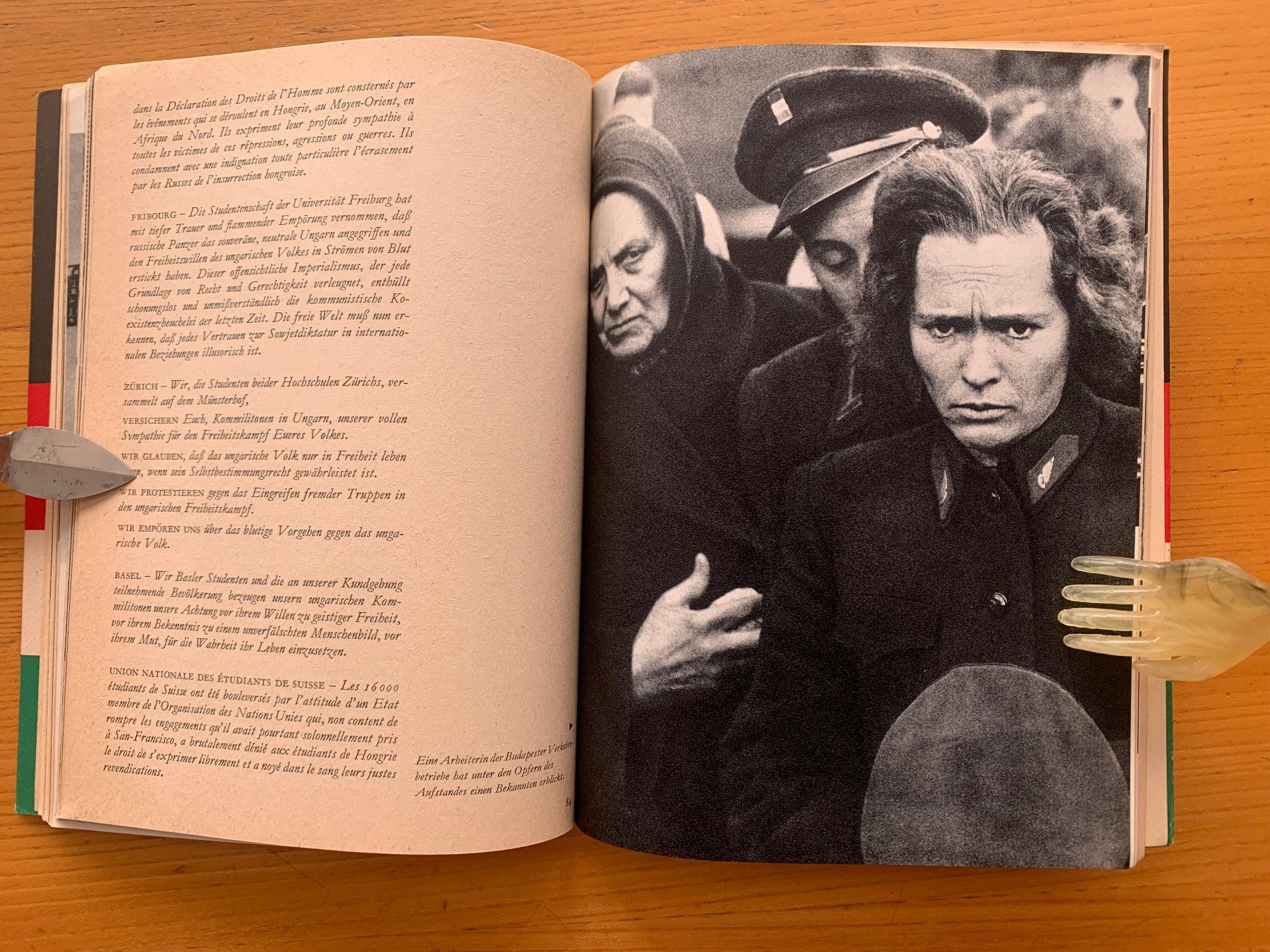 Libri: Ungarn Aufstand: zeitgenössisches Buch – Nuovo (secondo la descrizione) da Altstätten SG venduto da alpalfa 4