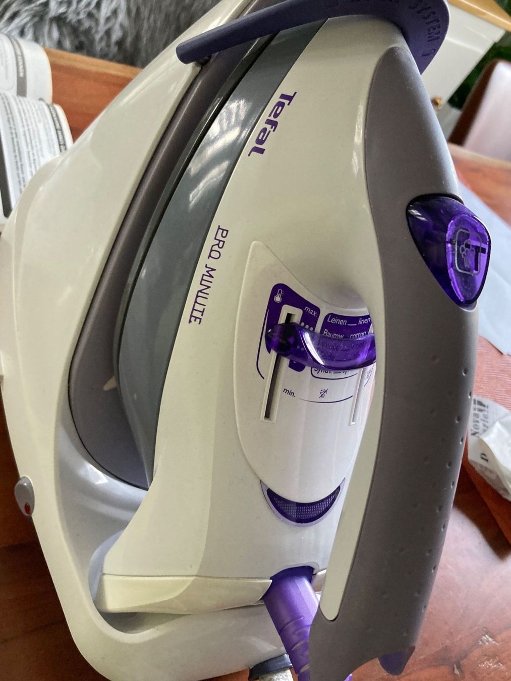 Tefal Ferri da stiro: Bügeleisenstation TEFAL PRO MINUTE – Usato da Eschenbach SG venduto da verbascum 6