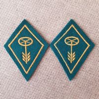 Kragenspiegel Motorfahrer - Schweizer Armee