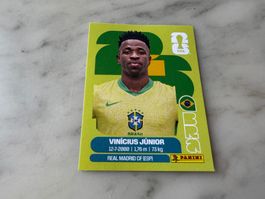 Panini Fifa Fussball WM 2026 Sticker Vinicius Junior BRA 14