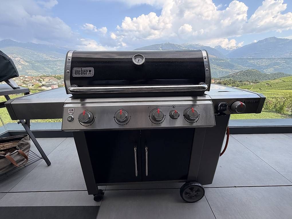Griglie: Weber Genesis II EP-435 GBS  avec accessoires – Usato da Savièse venduto da Malut