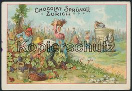 ZHS Zürich - Sprüngli - Litho - Schokolade - Wein - Reben