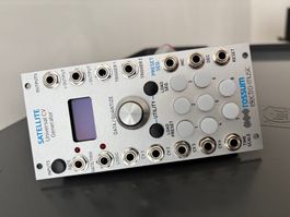 1x Eurorack Modul: 1 Stk. (Dave) Rossum Satellite