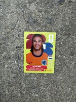 NED 7