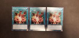 Yugioh Unbegrenzte Karten KICO