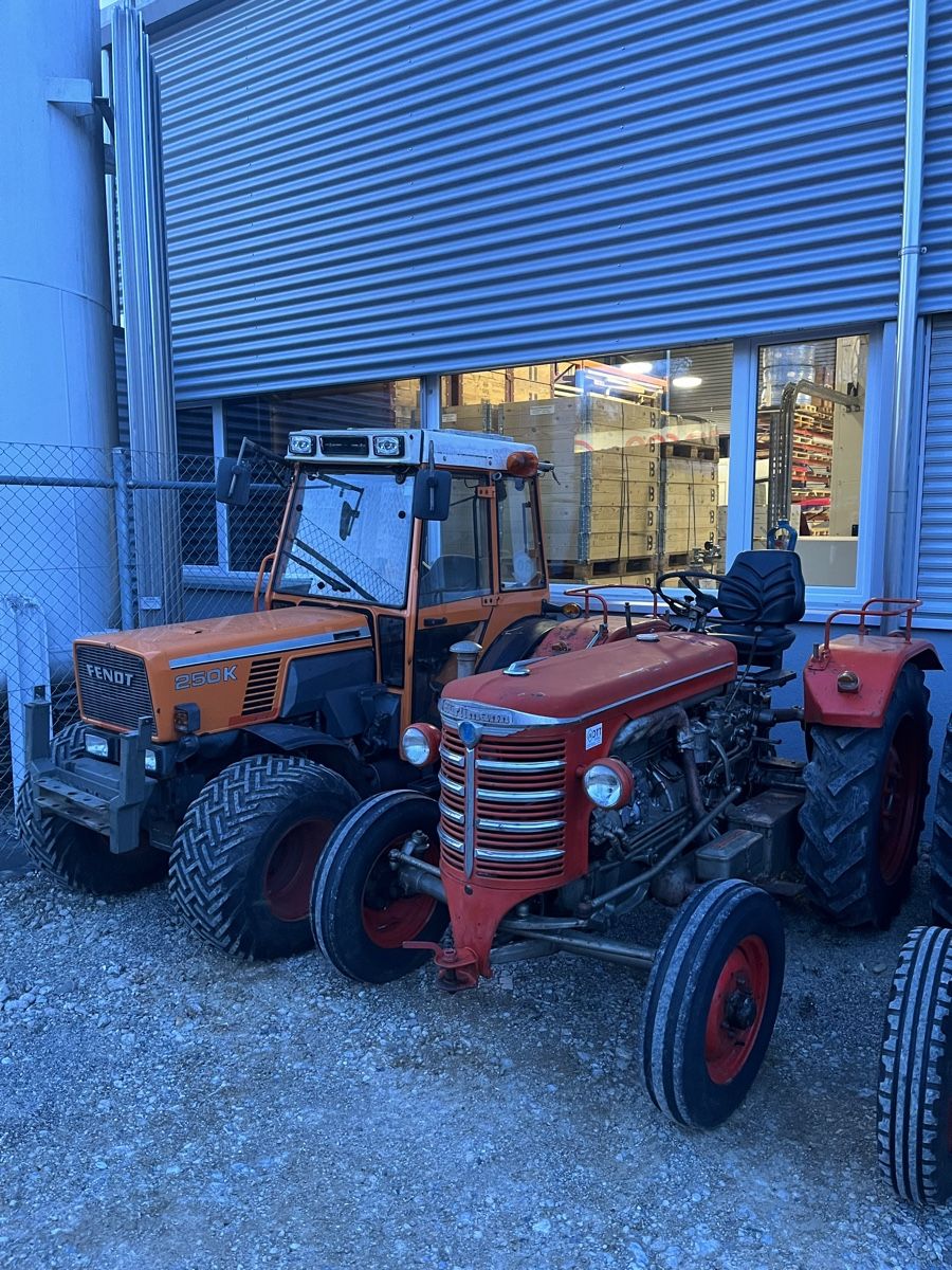 Hürlimann Trattori: Hürlimann D70 ab MFK & Service – Usato da Affeltrangen venduto da Ottmech 2