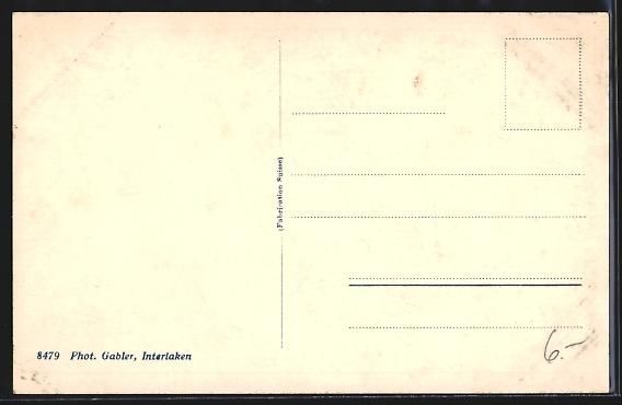 Cartoline postali: AK Interlaken, Waldhotel am Rugenpark – Usato da Berlin venduto da bartko-reher 1