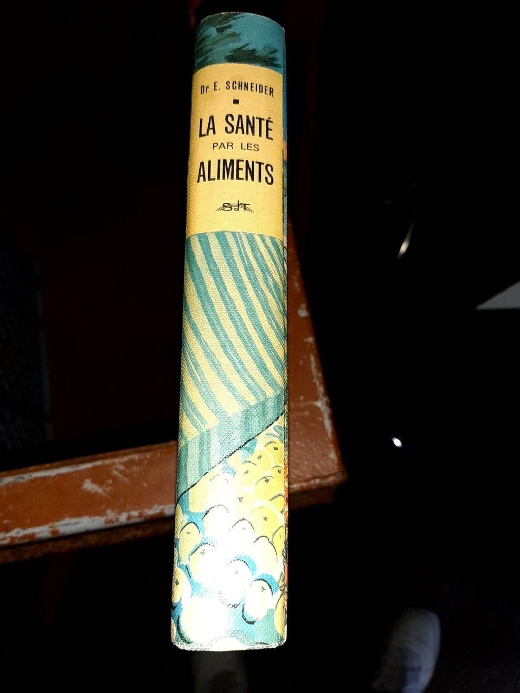 Libri: la santé par les aliments – Usato da Le locle venduto da juliensaran 1