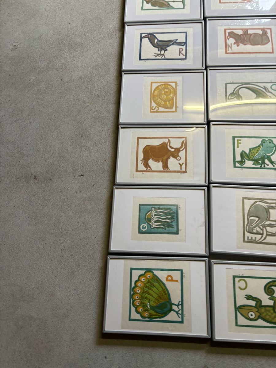 Foto & Immagini: Complete Framed Alphabet Animal Wall graphics framed – Usato da Biel-Benken BL venduto da ste_86wx 3