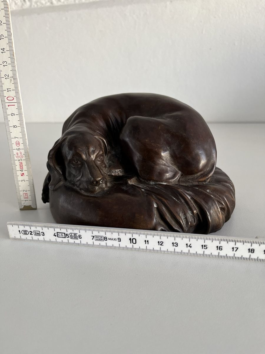 Skulpturen & Statuen: liegender Hund aus Bronze – Gebraucht aus Wetzikon ZH von seli03 9