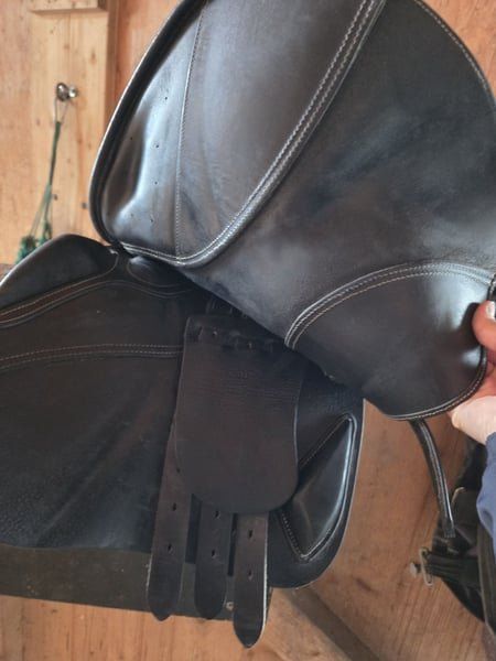 Selle & Accessori: Ikonic elite Springsattel – Usato da Mollis venduto da YANINO 1