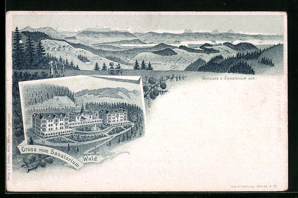 Cartes postales: Litho Wald, Ansicht vom Sanatorium Wald, – D'occasion à Berlin par bartko-reher