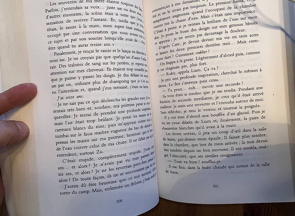 Libri: La trilogie "les Insoumis" – Usato da St-Cierges venduto da bin_27k6 4