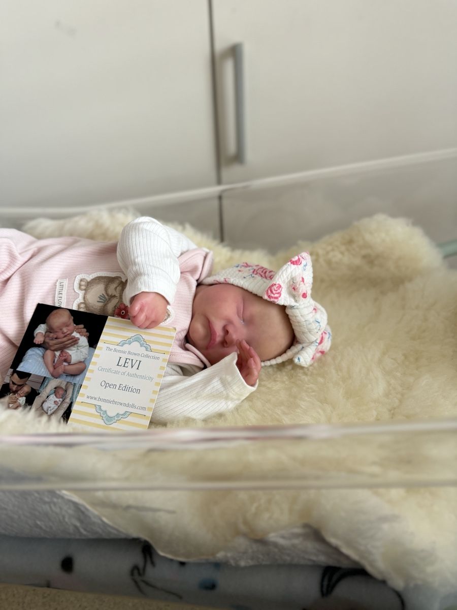 Reborn Puppen: Reborn – Neu (gemäss Beschreibung) aus Unterentfelden von van_m8g7 2