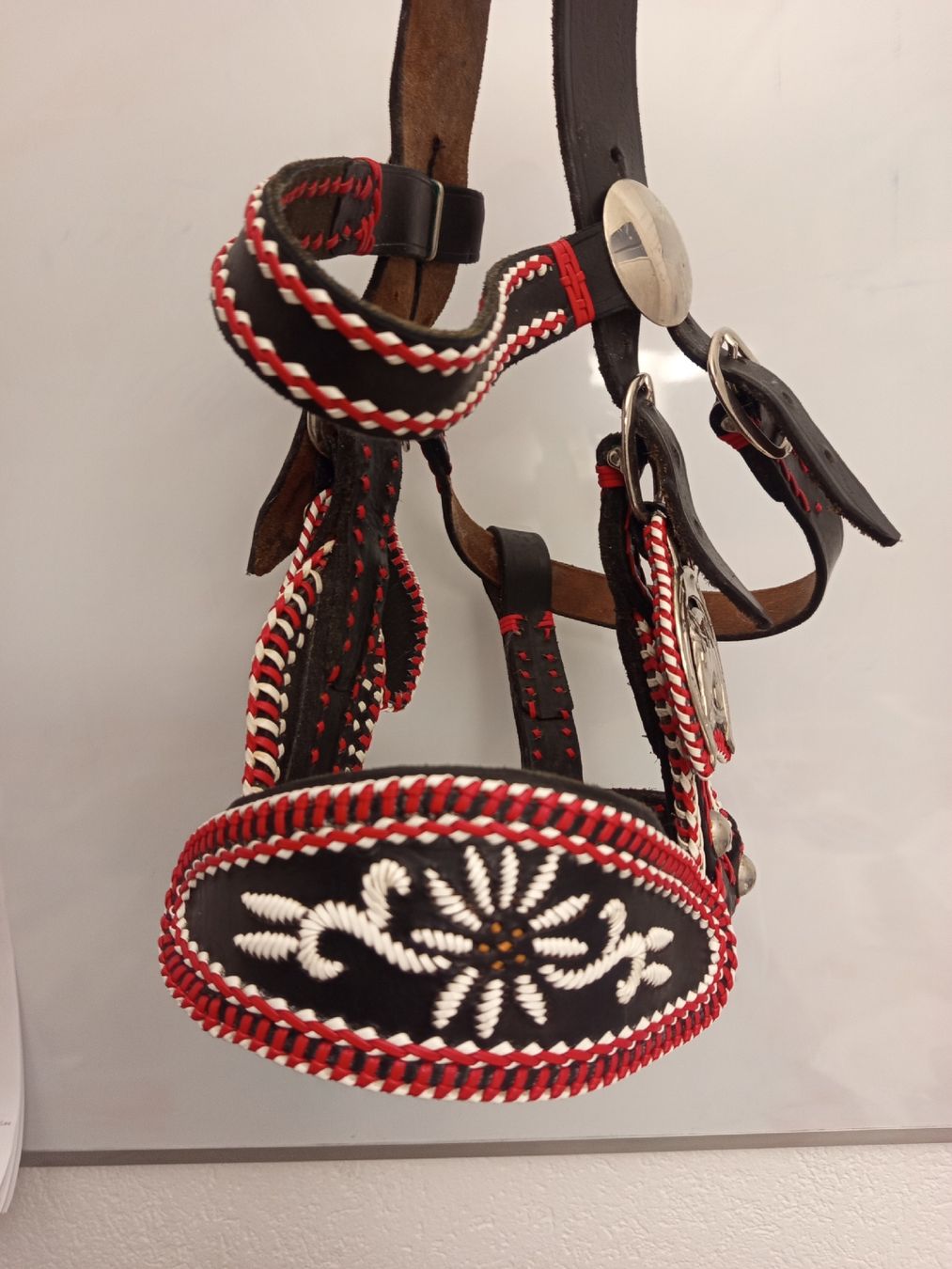 Briglie & Cavezze: Schow- Zier- Halfter, dickes Leder – Usato da Neyruz FR venduto da pri_gz79 2