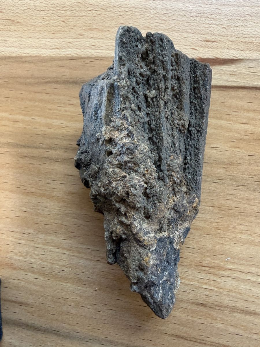 Fossili: Versteinertes Holz – Usato da Grenchen venduto da Bastet007 3