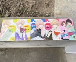 5x Manga Bücher 