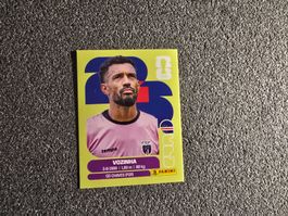 Panini WM 26 - Vozinha- CPV2