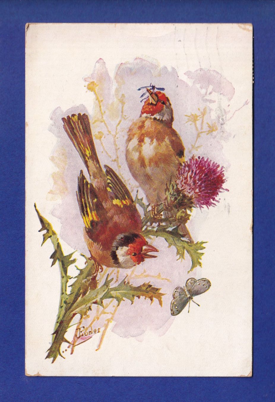 Ansichtskarten: OISEAU – Gebraucht aus Pully von nicecards-shop