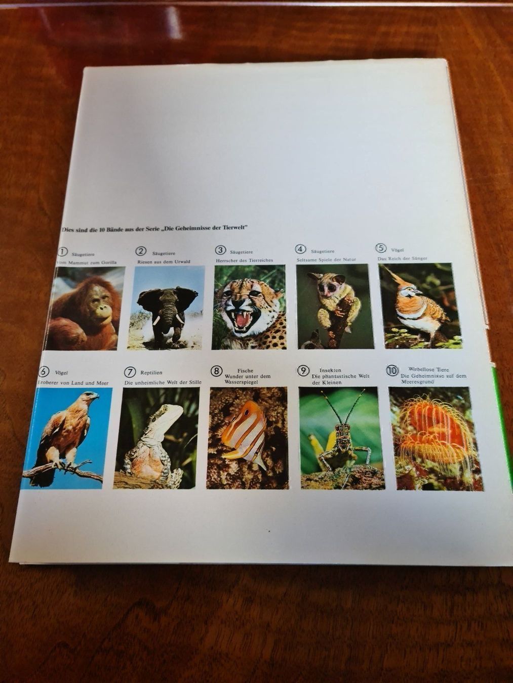 Libri: Vom Mammut zum Gorilla – Usato da Erstfeld venduto da Uhu1980 3