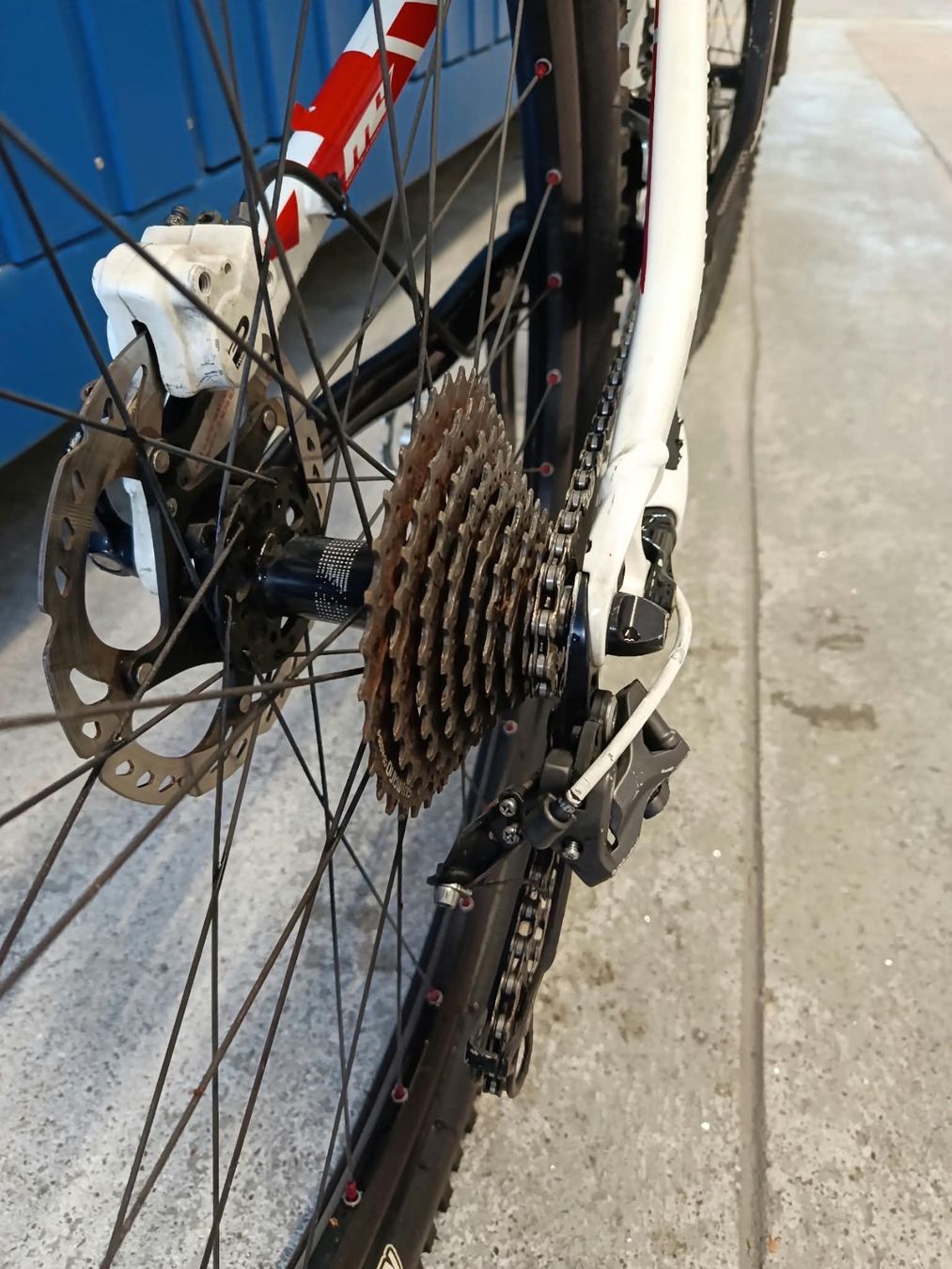 Specialized Biciclette: Specialized Velo – Usato da Hasliberg-Hohfluh venduto da Adbu13 6